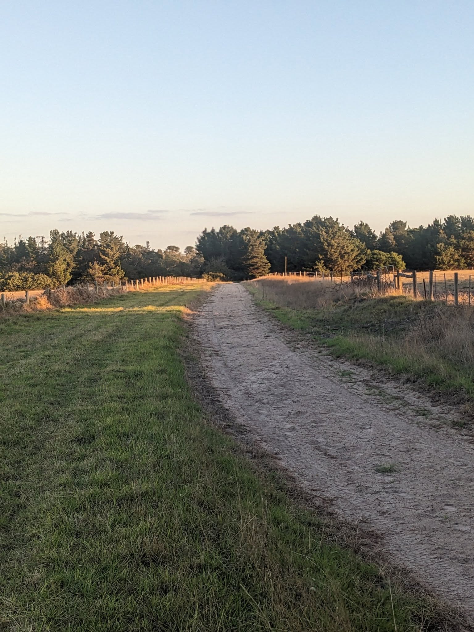 Training racetrack at Pikes Ranch